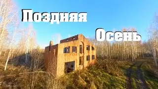 Поздняя осень 2023