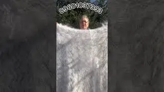 6 сентября 2024 г.