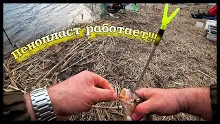 Ловля Вимбы на Фидер в Апреле 2021. Пенопласт работает!!! Рыбец на реке.