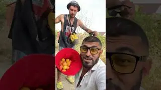 Первая неделя без мяса
