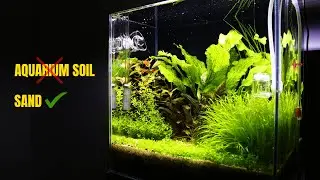 GOING CLASSIC Again  | Planted Aquarium | Aquascaping