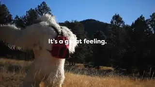 Check Out Colorado State Parks Program