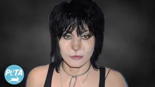 Feminist Icon and Rock Legend Joan Jett: ‘We Are All Sisters Under the Skin’