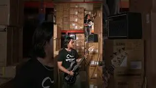 Million Dollar Baby (Warehouse Cover) - Aarif