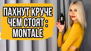 SMELL GREAT FOR CHEAP: MONTALE || MY TOP 5 BEST FRAGRANCES 