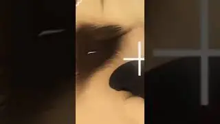 #SLAVON