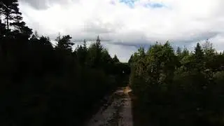 Bebob Parrot drone on my segway ninebot mini pro