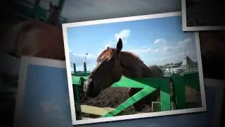 Конно-спортивный клуб 