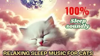 Relaxing Sleep Music for Cats: Help Your Furry Friend Sleep Soundly and Happily!