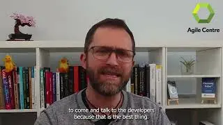 What is a product owner if you're a project manager?