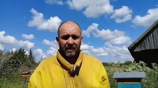 Роевая пора завершается