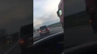 левин