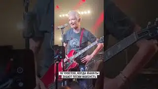 Диана Арбенина и фанаты