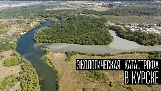 Экологическая катастрофа в Курске