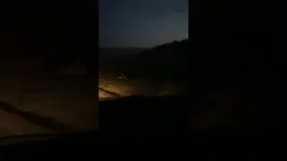 Лиса по пути на рыбалку 2 