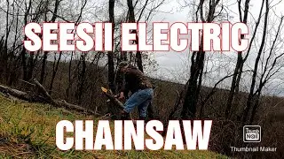 SEESII 8" Electric Chainsaw Review