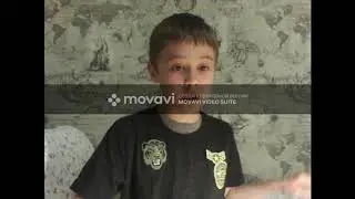 Сколько зарабатывают начинающие и популярные блогеры