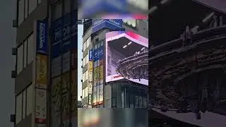 Japan's 3D Billboards Are INSANE!