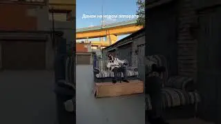 диванный гений