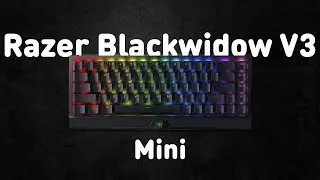 Razer BlackWidow V3 Mini HyperSpeed! ⌨️