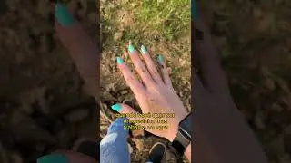 é a tal da agropaty né 😂