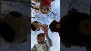 gotta use the stuffed animals…