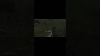 Зовите меня крутой.Stalker Anomaly.Прохождение за одиночек