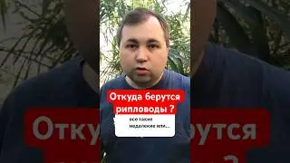 Откуда Столько Много Рипловодов ?