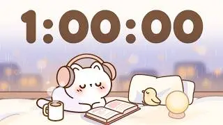 60 Minute Timer 🐱 1 Hour Study Timer for Classroom