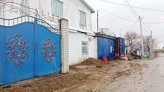 Ақтауда түрси ұрланып кетті 😲😱