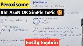Peroxisome Structure And Functions | Oxidative Enzymes | Class 11 Biology