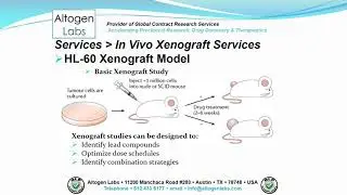 Altogen Labs HL-60 Xenograft Service Leukemia