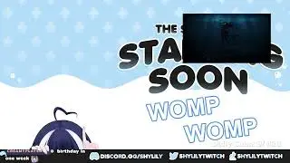 VOD | ❤️NEW WAIFU IN TOWN! GIMME GIMME!! ZZZ Spam uwu❤️MY FIRST SONG -＞ MISS RGB ❤️ | 7/29/2024