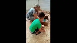 Свободу птицам! Цыплята начинают взрослую жизнь!