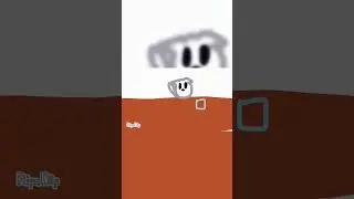 котик как вам