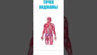 Атлас точок хіджами. ч.1