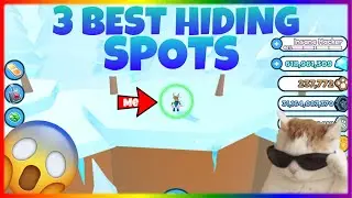 *TOP 3* Hiding Spots in Pet Simulator X😮