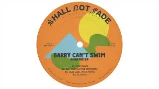 Barry Can't Swim - Rah That's A Mad Question