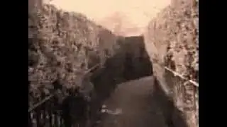 TFTTF 2008