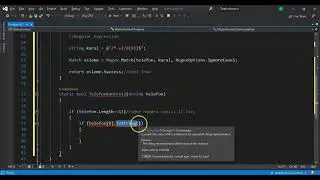 C# Bool Değişkeni Telefon Kontrol