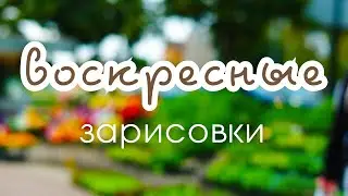 Воскресные зарисовки