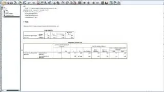 SPSS: Independet Samples T Test