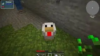 Minecraft Madness with my husband