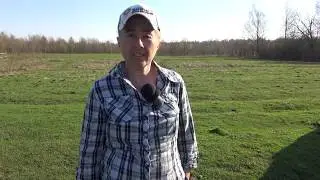 Почему лошадь сразу после выжеребки худеет.