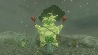 Zelda Tears of The Kingdom: Hetsus Dance