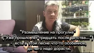 "Размышление на прогулке" Кавер. Есть в этой песне что-то особенное, до чего надо дорасти.