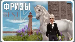 новый и старый ФРИЗЫ - какие они | Star Stable