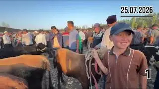 26 июля 2026 г. Bulungʻur tuman Оqtepa mol bozor +998 90 191 33 99 