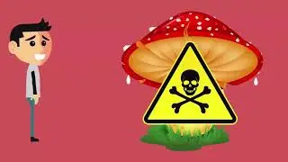 12 советов спасут вам жизнь