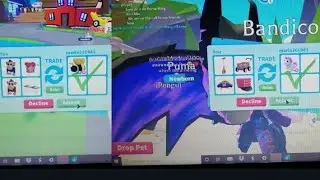 Trading pet omg such a good pat